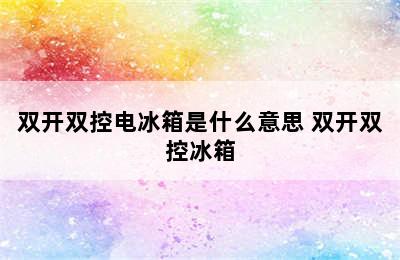 双开双控电冰箱是什么意思 双开双控冰箱